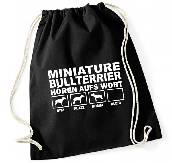 BAGHAWMiniBullterrierB