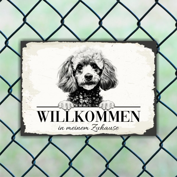Hundeschild Willkommen Zuhause Zwergpudel Pudel Schild