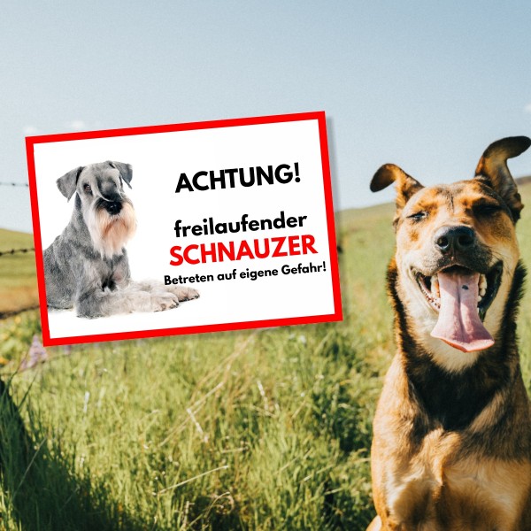 SchildFrei_Schnauzer1