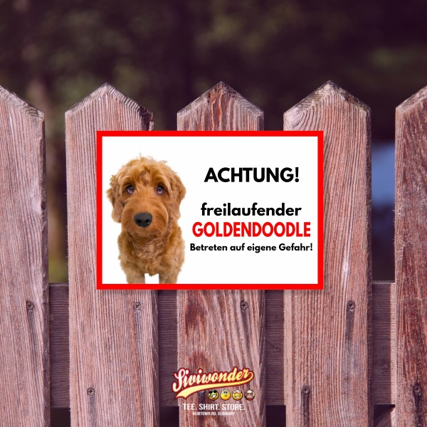 SchildFrei_Goldendoodle2