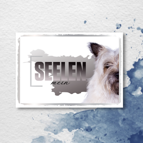 SeeleD_CairnTerrier2
