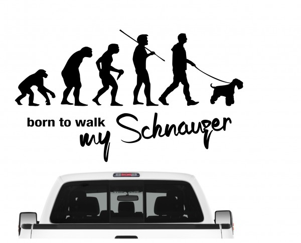 Schnauzer Mittelschnauzer Zwergschnauzer Mittel Zwerg Born to Walk Hunde Aufkleber Sticker Autoaufkleber Wandtattoo Tattoo