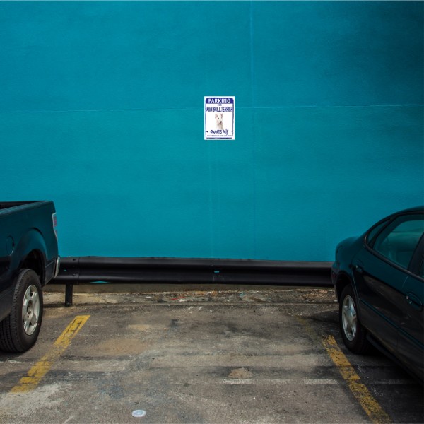 Miniature Bullterrier Parking Schild Achtung Spruch Warnschild Türschild Fun