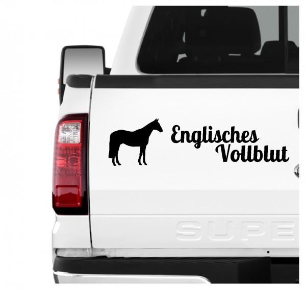 A3erPF_EnglVollblut1