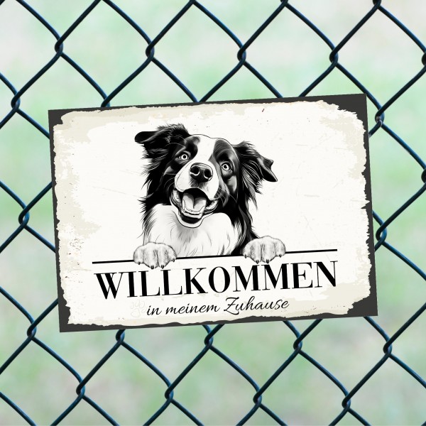 Hundeschild Willkommen Zuhause Border Collie Schild