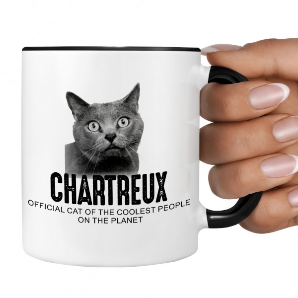 Chartreux Kartäuser Katze Official Cat cool Tasse Kaffee lustig Kaffeebecher Design