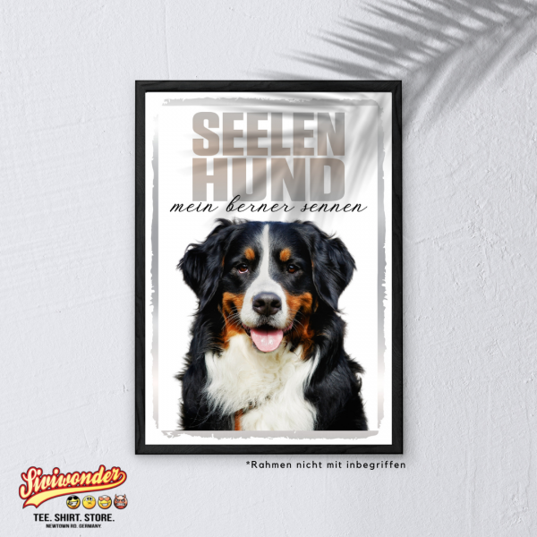 SeeleR_BernerSennen3