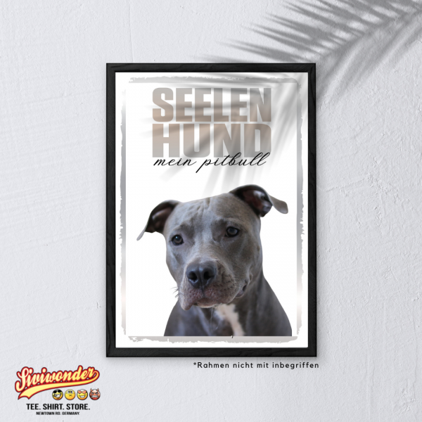 SeeleR_Pitbull3
