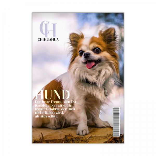 SchildMagazin_ChihuahuaLang