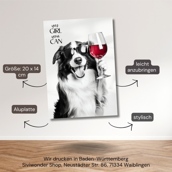 SchildYouCan_BorderCollie6