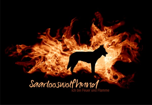 UTFlamme_SaarlooswolfMo