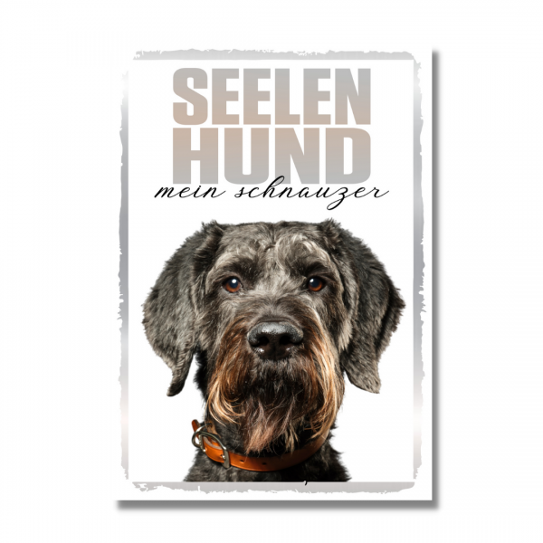 SeeleR_Schnauzer1