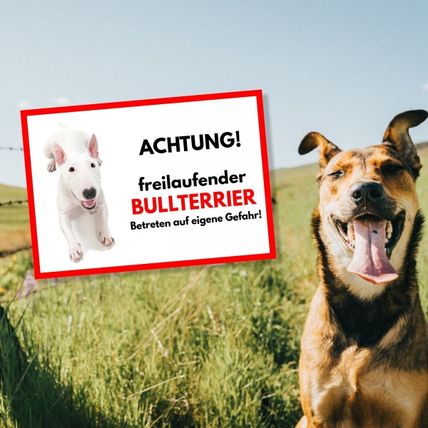 SchildFrei_BullterrierWeiss1