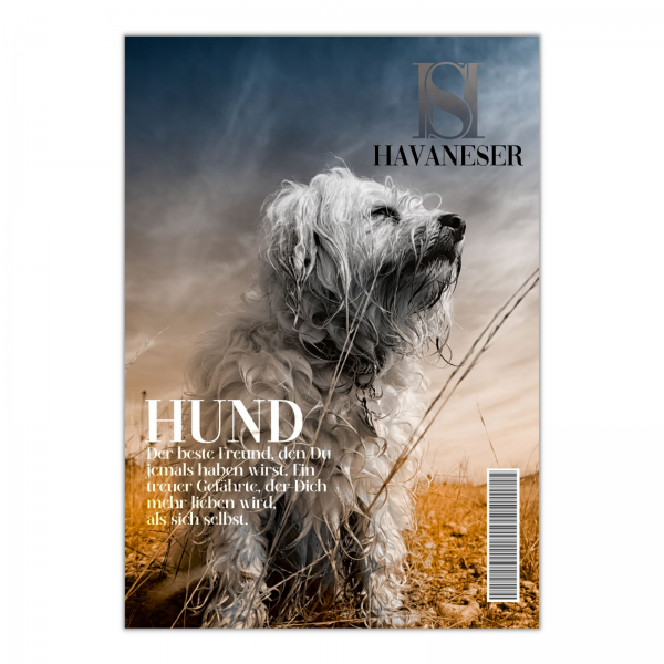 SchildMagazin_Havaneser1