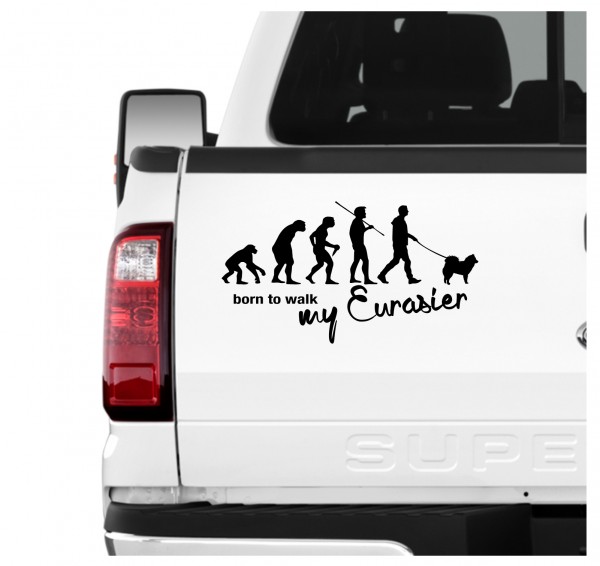 Eurasier Eurasian Spitz Spitze Wolfsspitz Samojede Evolution Born to Walk Hunde Aufkleber Sticker Autoaufkleber Wandtattoo Tattoo
