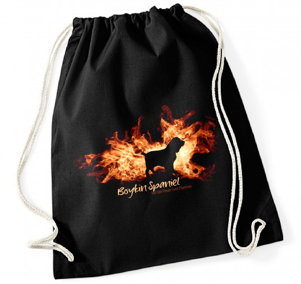 BAGFlamme_BoykinSpaniel