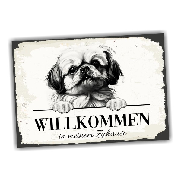 SchildWillkPekinese2a