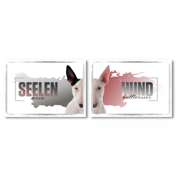 SeeleD_Bullterrier2_1