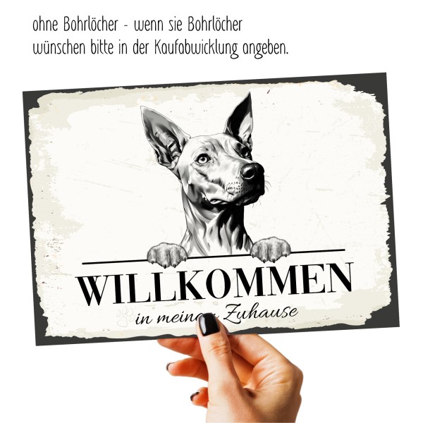 Hundeschild Willkommen Zuhause Etnahund Cirneco dell’Etna Schild