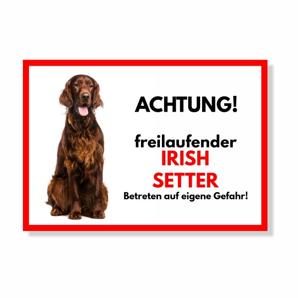 SchildFrei_IrishSetter