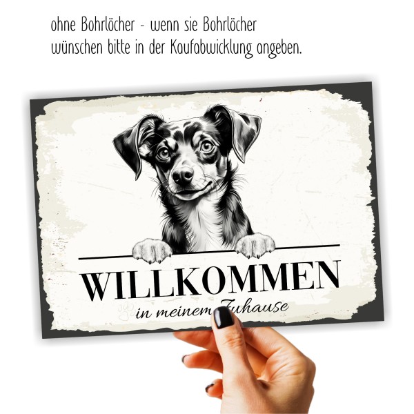 Hundeschild Willkommen Zuhause Chiweenie Schild Achtung Spruch