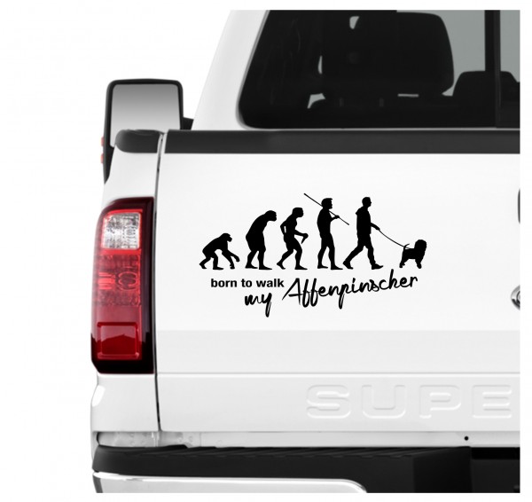 Affenpinscher Affen Affie Monkey Dog Evolution Born to Walk Hunde Aufkleber Sticker Autoaufkleber Wandtattoo Tattoo
