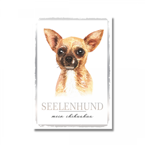 SeeleW_Chihuahua1