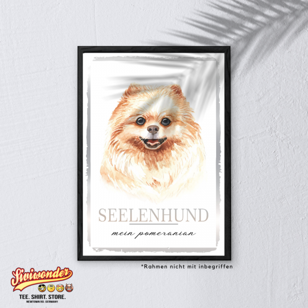 SeeleW_Pomeranian3