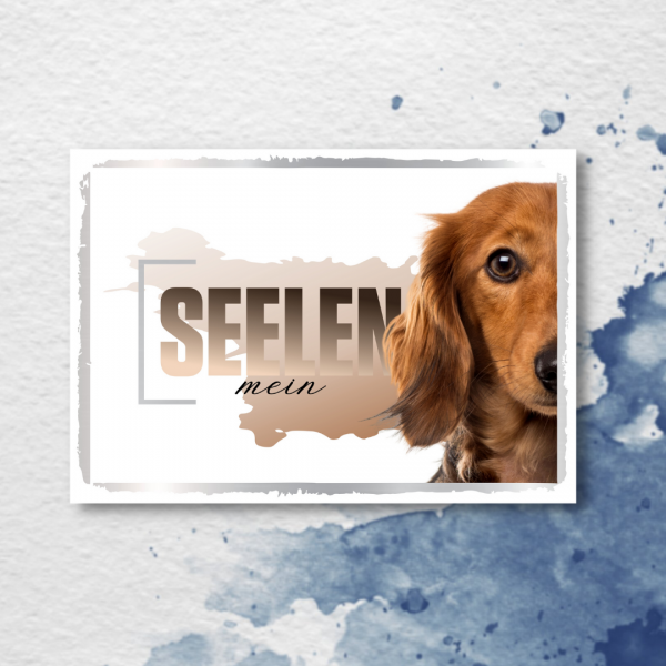 SeeleD_Dackel2_2