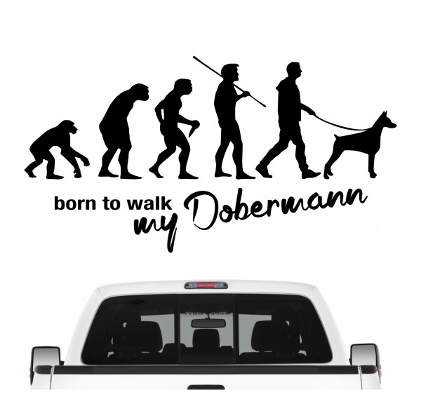 Dobermann Kupiert Dobi Dobie Doberman Pinscher Evolution Born to Walk Hunde Aufkleber Sticker Autoaufkleber Wandtattoo Tattoo