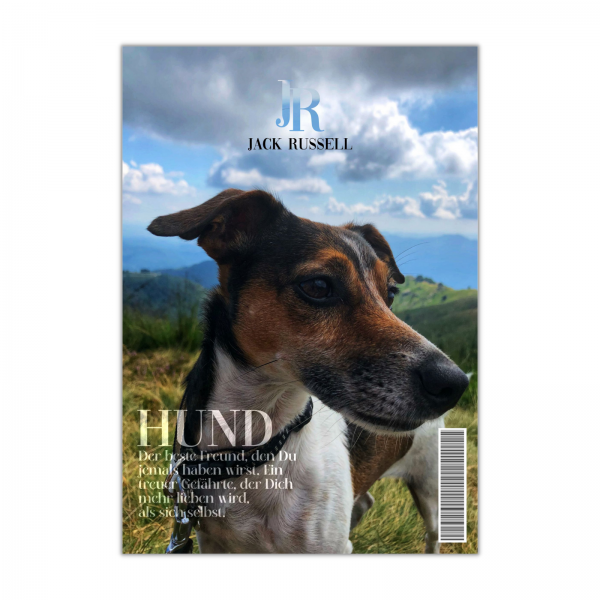 SchildMagazin_JackRussell1