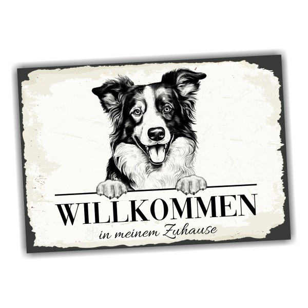Hundeschild Willkommen Zuhause Border Collie Schild Achtung