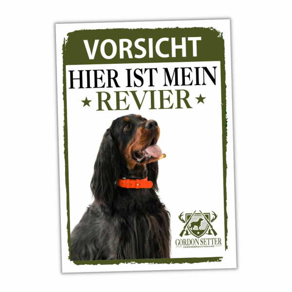 SchildRevier_GordonSetter1