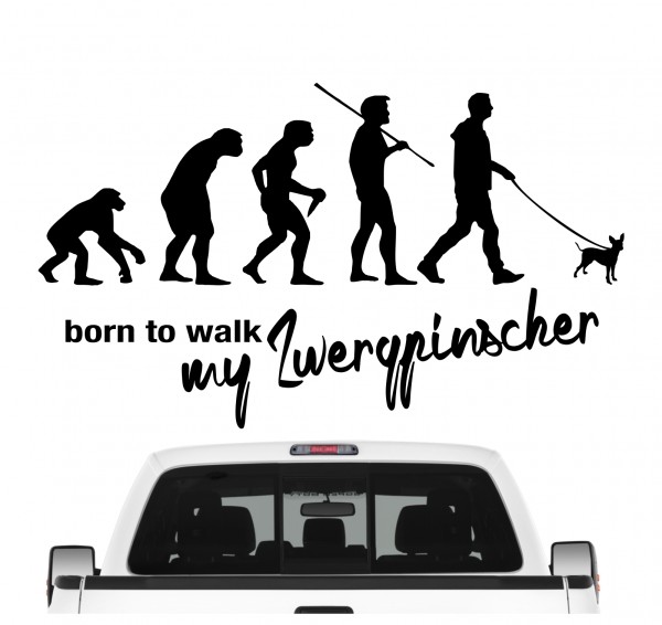 Zwergpinscher Min Pin Pinscher Miniature Mini Evolution Born to Walk Hunde Aufkleber Sticker Autoaufkleber Wandtattoo Tattoo