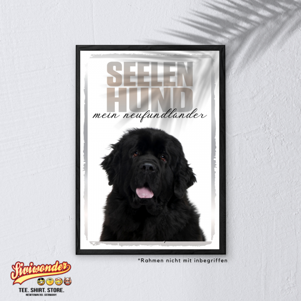 SeeleR_Neufundl-nder3