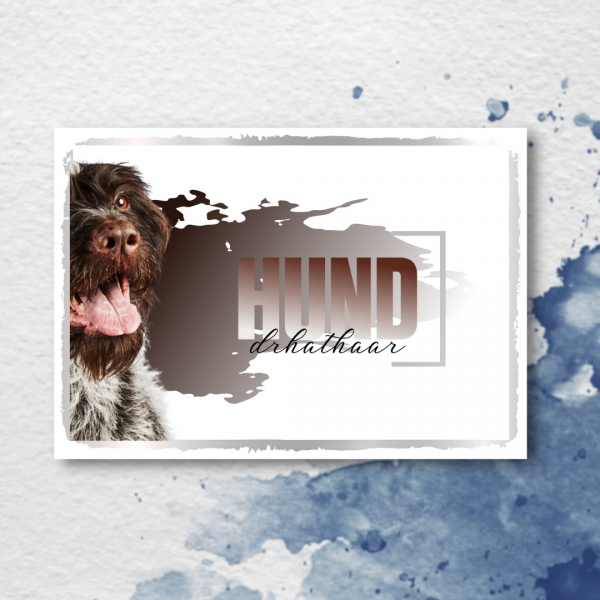 SeeleD_DeutDrahthaar3