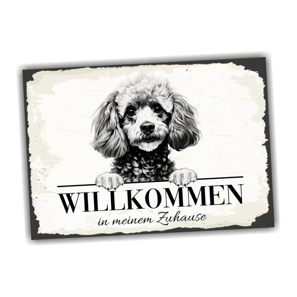 Hundeschild Willkommen Zuhause Zwergpudel Pudel Schild