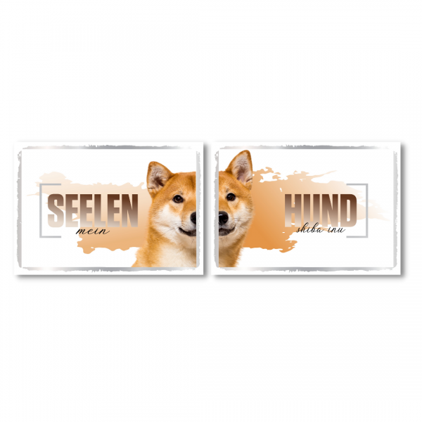 SeeleD_ShibaInu161541b1713819