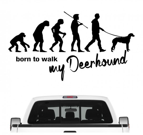Deerhound Scottish Evolution Born to Walk Hunde Aufkleber Sticker Autoaufkleber Wandtattoo Tattoo