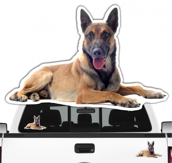 Malinois Belgian Mali Belgischer Schäferhund Berger Belge Dog Pfoten Digitaldruck Motiv by SIVIWONDER