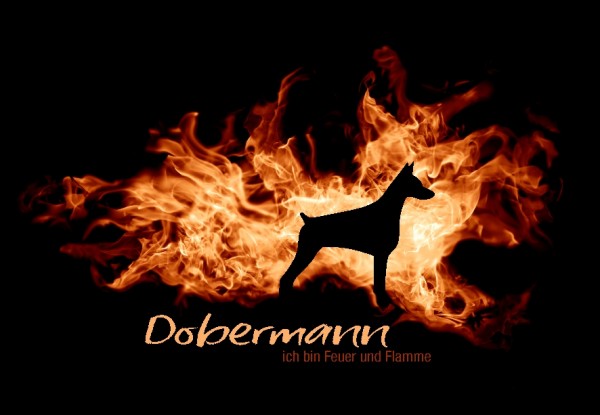 UTFlamme_DobernKUPMo