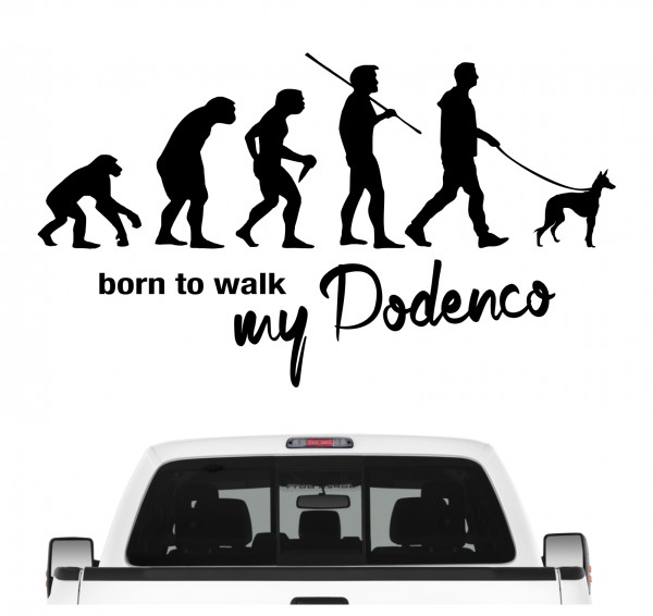 Podenco Ibicenco Canario Not Tierrettung Spanien Evolution Born to Walk Hunde Aufkleber Sticker Autoaufkleber Wandtattoo Tattoo