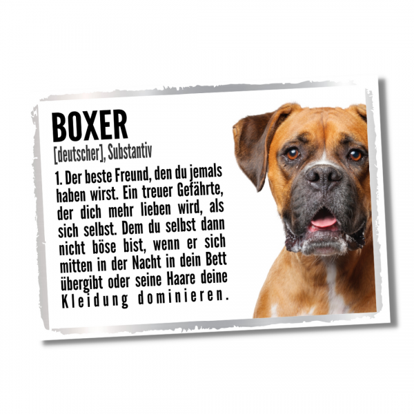 Duden_Boxer2_1