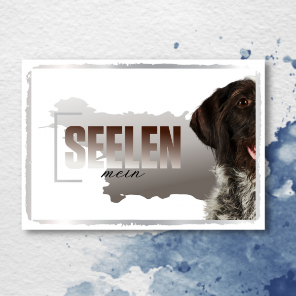 SeeleD_DeutDrahthaar2