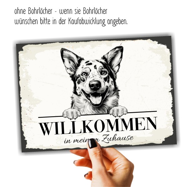 Hundeschild Willkommen Zuhause Australian Cattle Dog Schild