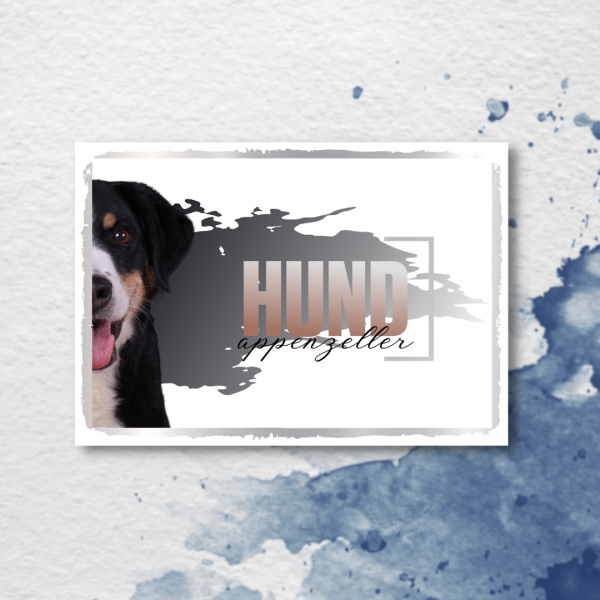 SeeleD_Appenzeller3