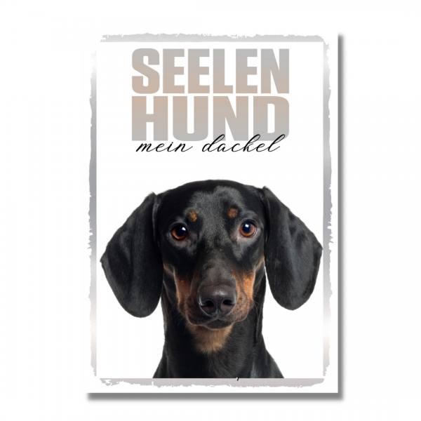 SeeleR_Dackel1