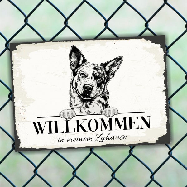 Hundeschild Willkommen Zuhause Australian Cattle Dog Schild