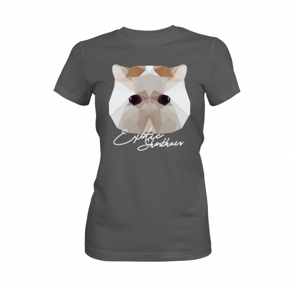 WT_ExoticShorthairDG