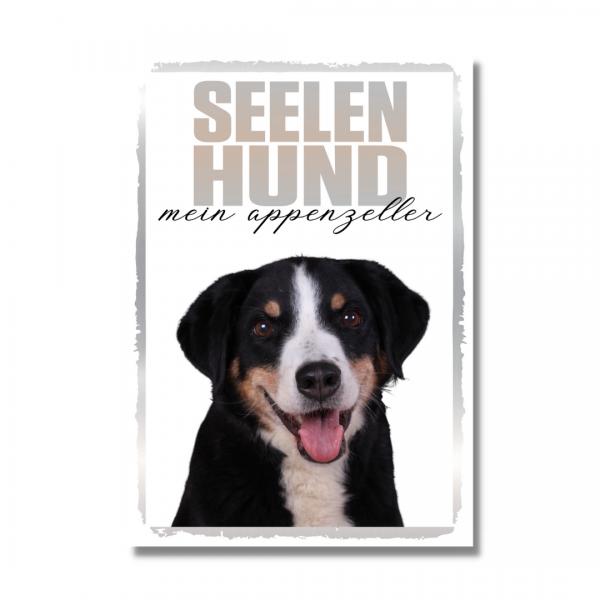 SeeleR_Appenzeller1